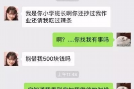 壤塘为什么选择专业追讨公司来处理您的债务纠纷？